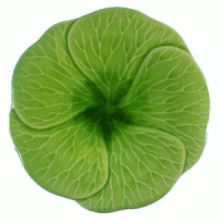 Green Celadon Leelawadee Plates