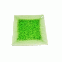 Green Celadon Square Plates